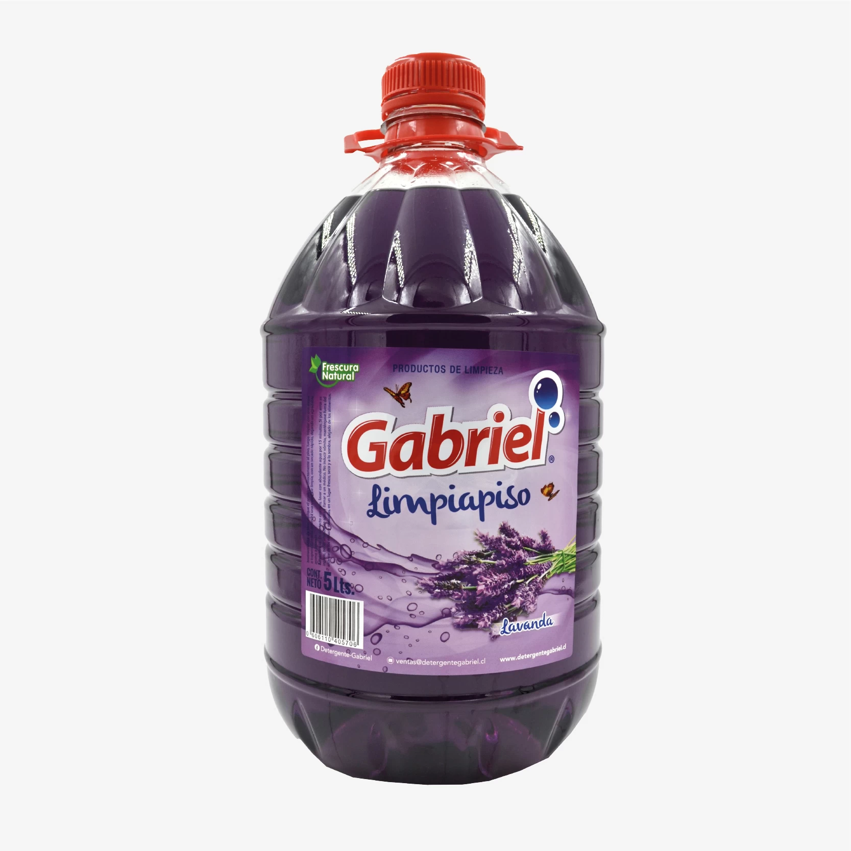 1693689635_LIMPIAPISO-LAVANDA-5-LTS-01-1.jpg